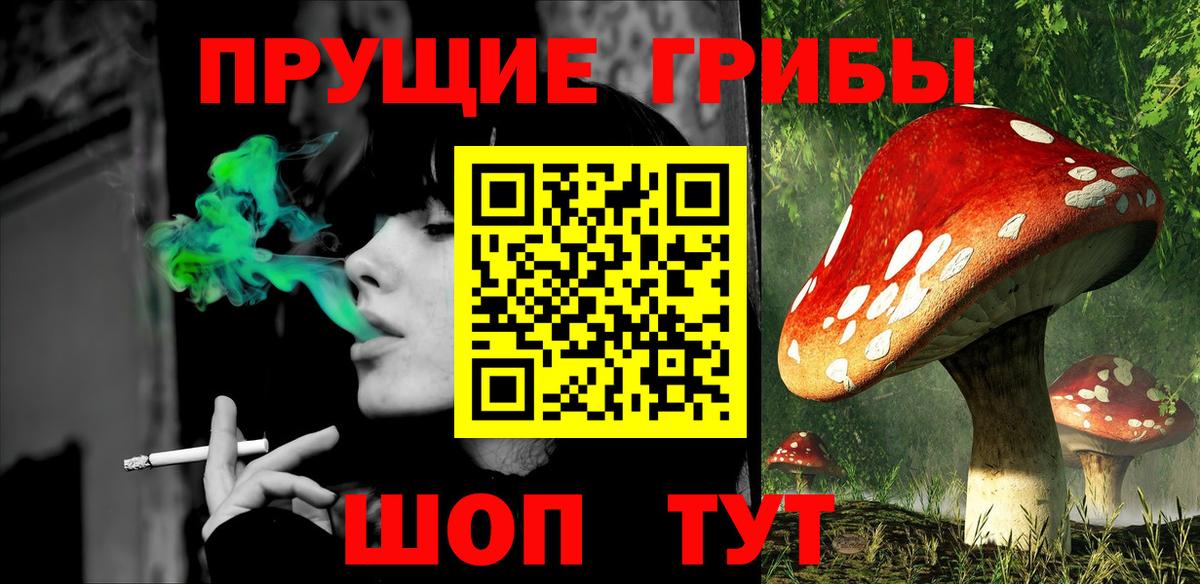 Сергиев Посад  Псилоцибиновые грибы Magic Shrooms  Псилоцибиновые грибы мухоморы  цена наркотик  Вход с VPN 