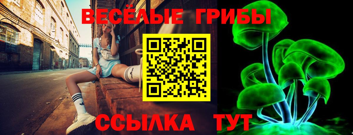 Галлюциногенные грибы мицелий Сергиев Посад