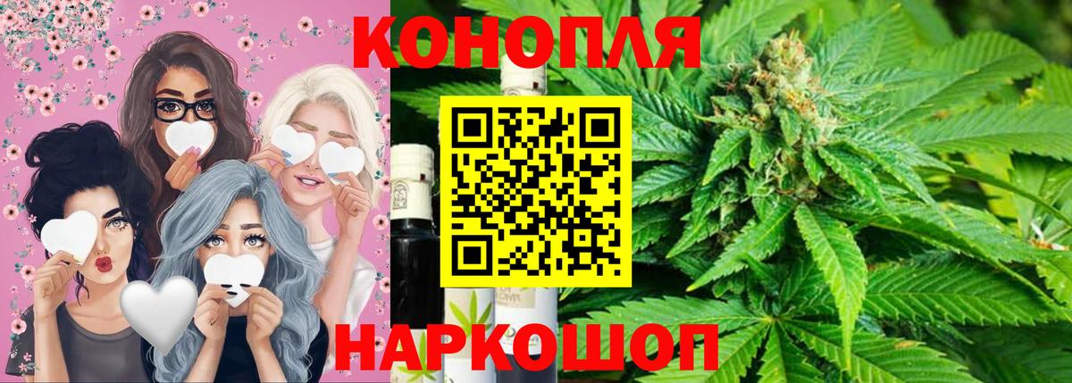 Бошки Шишки планчик Сергиев Посад